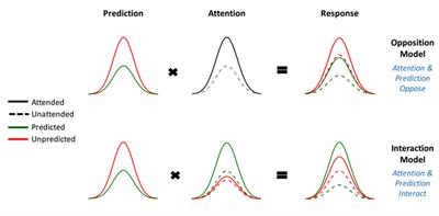 Bayesian Model Selection Maps for Group Studies Using M/EEG Data